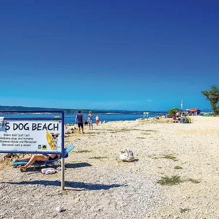 3 Bedroom Stunning In Tatil Evi